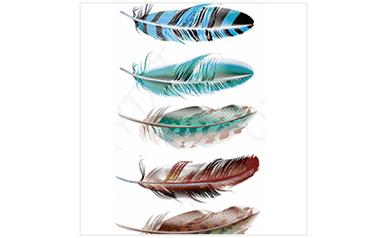 feathers 5 pack temporary tattoos online