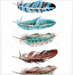 feathers 5 pack temporary tattoos online