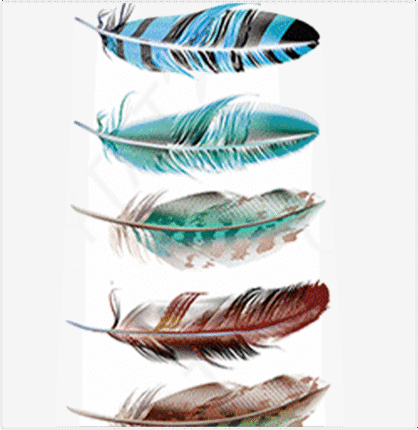 feathers 5 pack temporary tattoos online