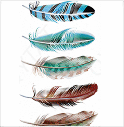 feathers 5 pack temporary tattoos online