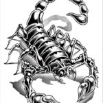 scorpion temporary tattoos