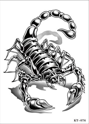scorpion temporary tattoos